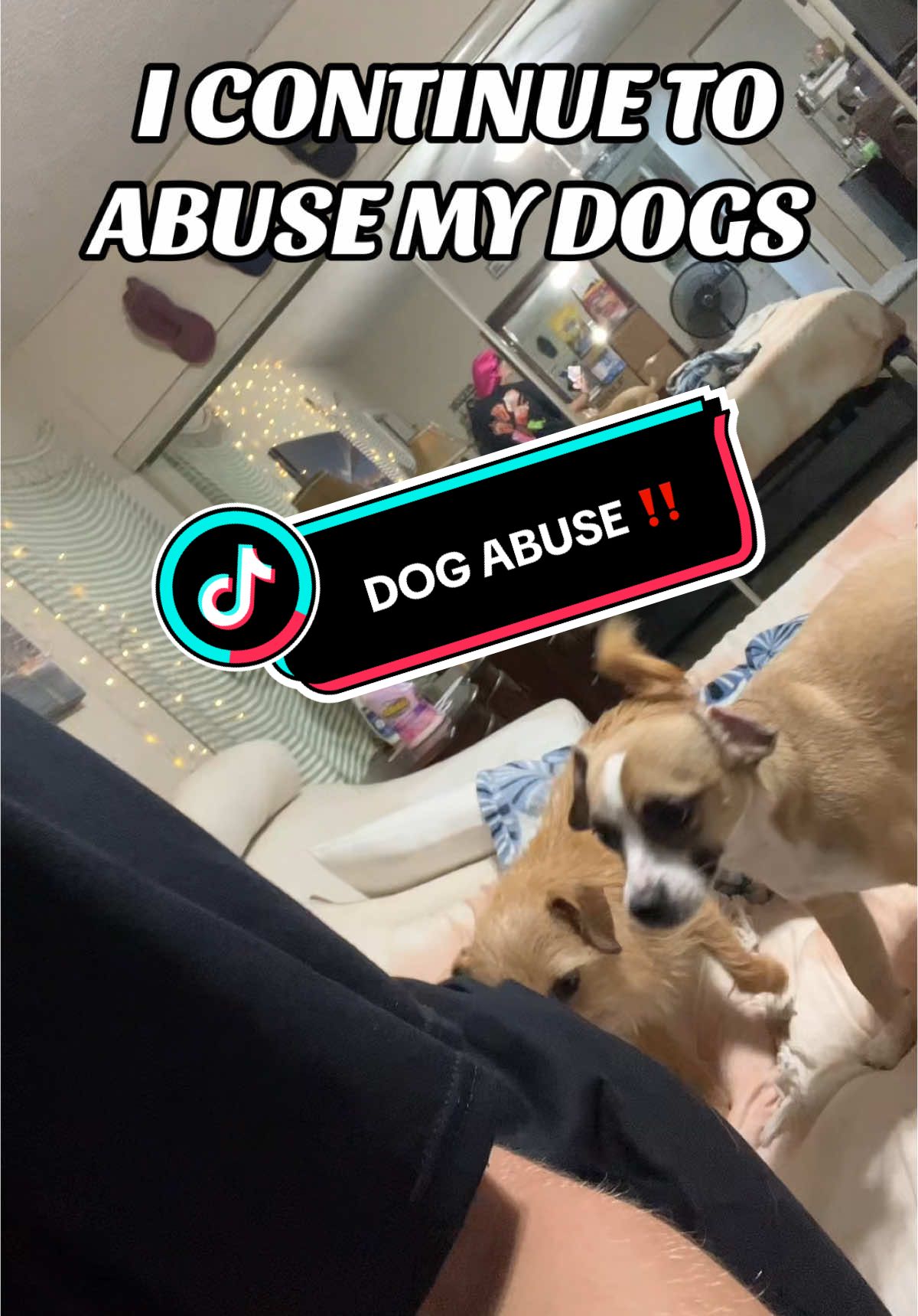 Someone call animal control 🚓 #foryoupage #allyxtra #fypシ #farts #funny #killedit🔥 #dogs #animalcontrol #fyp #AllyXtra #hilariousvideos ##whatthehelly##fart##farting##dogsoftiktok