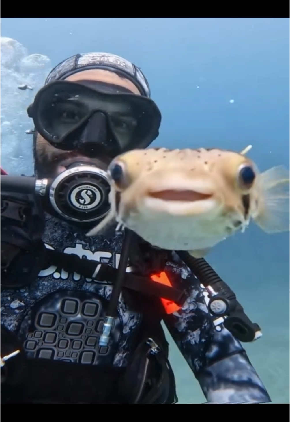 so wholesome 🐟 (song: ilyTOMMY - pretty ho3) #ilytommy #hoodtrap #jerk #undergroundrap #fishcontent #undergroundmusic #sea #animals #animalplanet #slowedandreverb #meme #wholesome #barstoolsports #blowthisup #vibewithus #fyppppppppppppppppppppppp #explore #fypシ゚viral #fish #fishing #fishtok #tiktokviral #xyzbca #tiktokviral #tiktok 