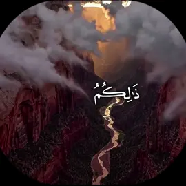 لا إله إلا هو - ياسر الدوسري  #قران #quran #foruyou #ياسر_الدوسري #الله #اجر_لي_ولكم 