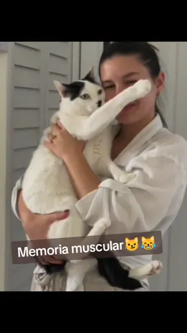 tratando de hacer un vídeo tierno del gatito pero él no coopera😹😹😼😼 . . #gato #cat #prettylittlebaby 