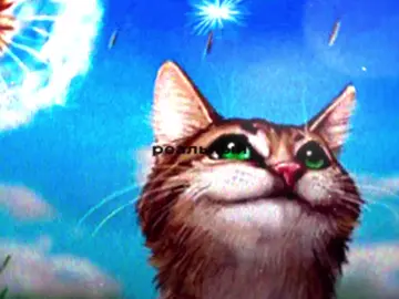 shawn wasabi - Burnt Rice #cat #lyrics #shawnwasabi #burntrice ce