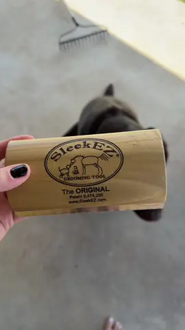 SleekEZ Pet Deshedding Brush!  All products are 15% OFF right now!! #creatorsearchinsights #f #fyp #tik #tiktok #tiktokshop #viral #fypage #fypシ゚viral🖤tiktok☆♡🦋myvideo #fypp #shop #shopwithme #showcase #myshowcase #deals #dealsforyoudays #tt #tts #ttshop #ttshopdeals #ttscreatorbash #memorialdaydeals #sleekez #tiktokshopholidayhaul #grooming #dog #dogsoftiktok #doggrooming #dogshedding ##tiktokmademebuyit##tiktokviral##justpostit##canigoviral##goviraltiktok##goviral