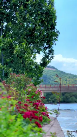 #foryou #video #havingahalatka #شئلادزئ #ديرلوك #ئاميدي #explore #سروشتي_جواني_كوردوستان #raaabin 