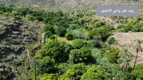 مناظر طبيعية من ريف تعز #اكسبلور #اكسبلورexplore #fyp #foryou #foryoupage #tiktok #trending #viral 