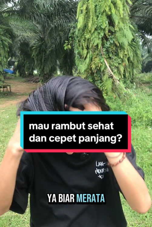 Membalas @needss gaskeunn bro biar rambut kalian jadi lebih sehat dan cepet panjang #minyakkemiribakar #kemiribakar #kemiribakaralami #rambutsehat #rambutpanjang #fypp #fallstoreid 