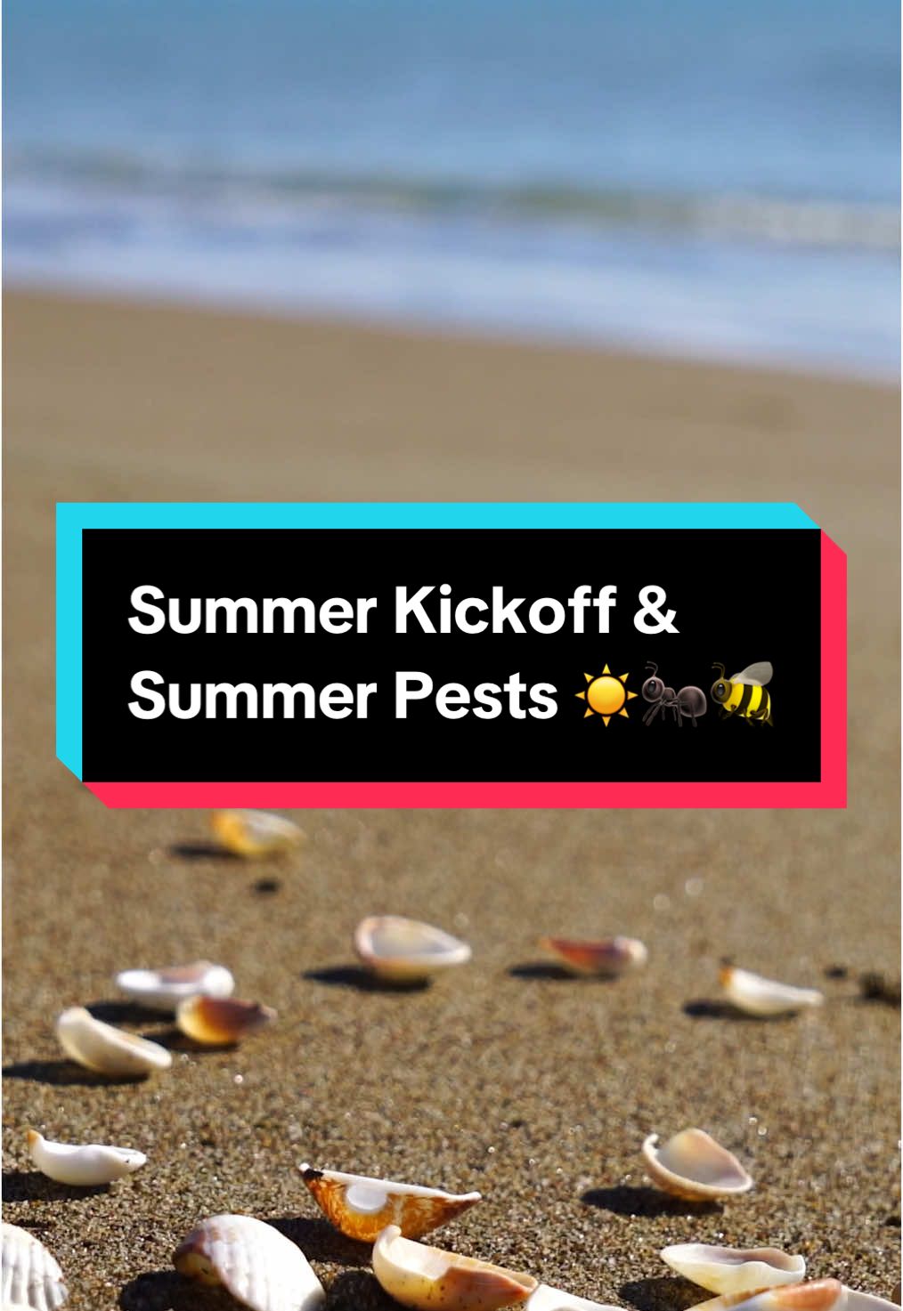 It’s MDW! Protect your summer kick-off from pests with these tips! #SummerPests #PestPrevention 