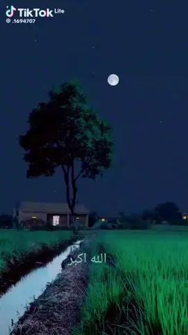 الحمدلله لاالله الاالله سبحان الله العظيم استغفر الله الله اكبر ♥🌹🌺#