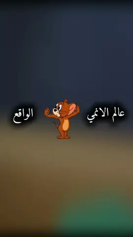 عالم الانمي ولا الواقع | Anime or reality #anime #animes #animeedit #animetiktok #dragonball #narutoshippuden #demonslayer #jujutsukaisen #hunterxhunter #onepiece #blackclover #sololeveling #tomandjerry 