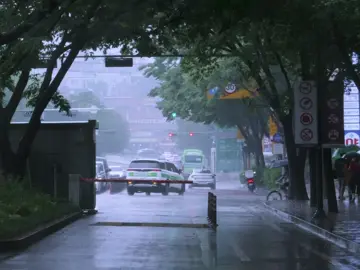 ☔️ 빗소리  📌장소: 보라매공원 📌위치: 서울 동작구 여의대방로20길 33 비 오는 날은 초록색이 가득한 곳에 갑니다 평소와는 다른 녹음의 색이 참 매력적이에요😌 여러분들은 비 오는 날을 좋아하시나요?