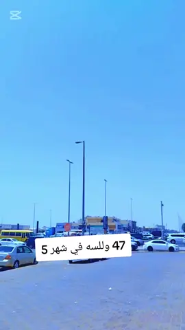 سيبو المغترب فمرارو #الشعب_الصيني_ماله_حل😂😂 #fyp #نصايح #نسرالبريه #fyp 