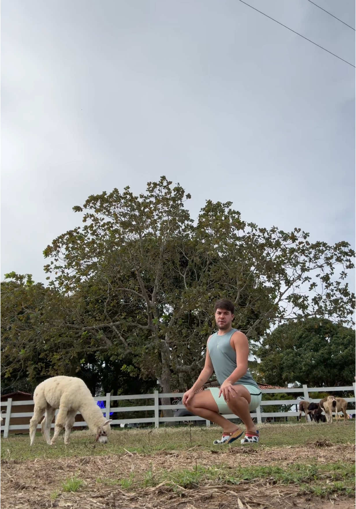 mais um dia ranchando 