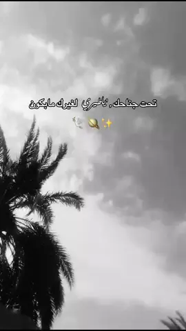 🕊️✨#بيسان_اسماعيل #بيسان_محمود #خطية #خطيةهههههههههههههه #بيسان #هيهات #اغاني_رومانسية #الجزائر🇩🇿 #اكسبلور #اكسبلورexplore #foryoupage #video #fÿpシ