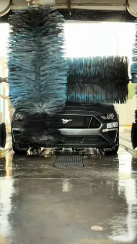 #fyp #ford #اغوى_كويتيين🇰🇼 #موستنق #حنطور #explore #viral #fypシ゚ #الشعب_الصيني_ماله_حل😂😂 #مالي_خلق_احط_هاشتاقات #fordmustang 