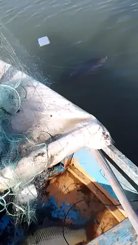 @عٌبِدِ آلَآنِبِآريِّ 