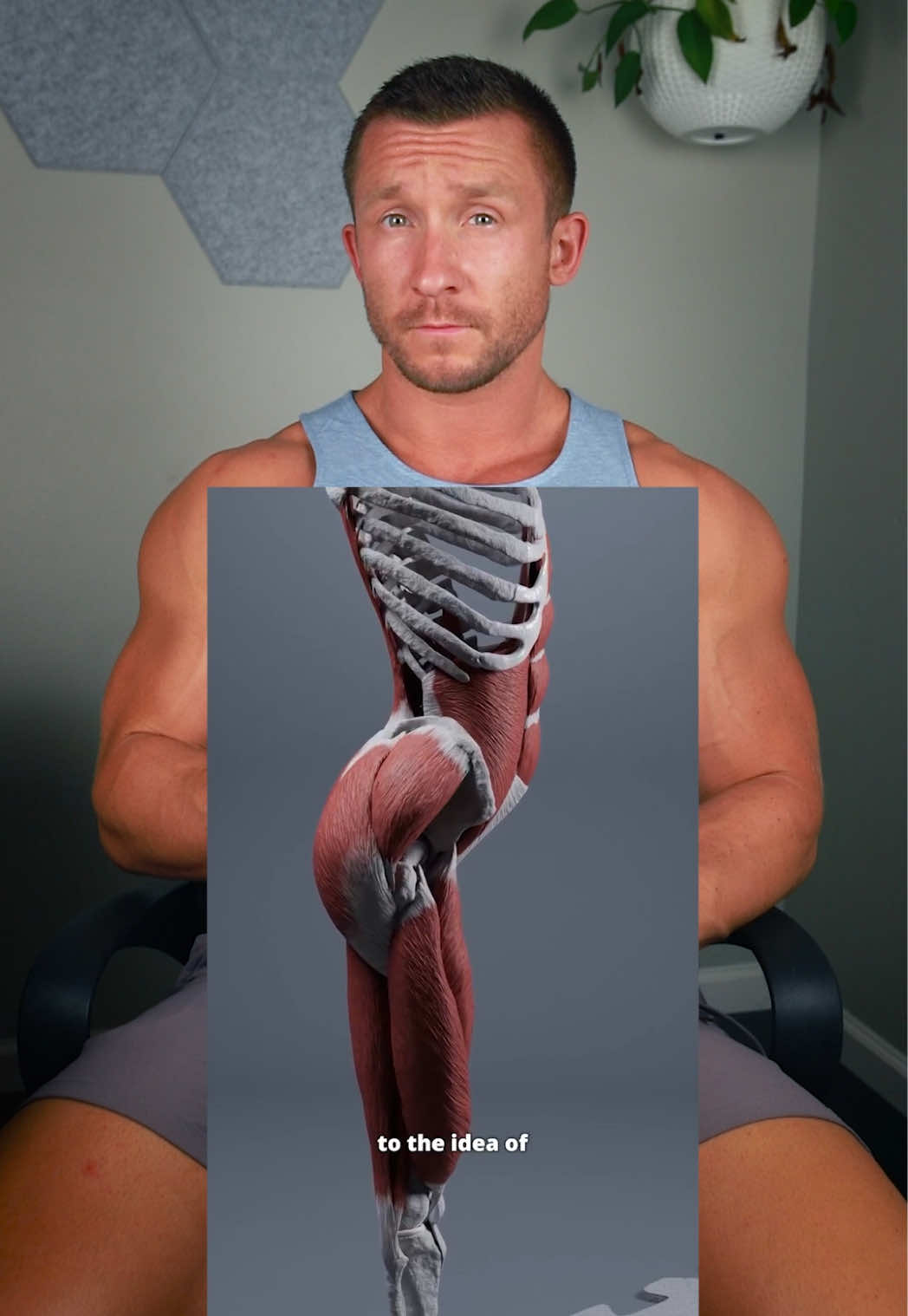 Lower Cross Syndrome and Low Back Pain #discherniation #sciatica #sciaticapain #sciaticapaintreatment #backpain #sciaticarelief #backpainreliefexercises #lowbackpainrelief #lowbackpain #stretching #mobility #hipflexors 