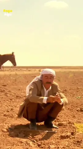 Birimiz bir b*k yedik ama kim? 😅 #şenerşenreplikleri #kemalsunalreplikleri  #yeşilçamreplikleri #komediyeegeell 