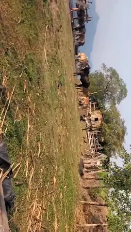 #Rancho  El Collolar 