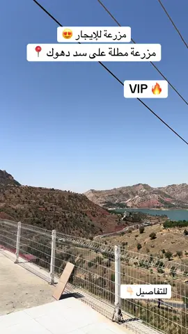 مزرعة فول vip للإيجار في مطلة على سد دهوك  مزرعة بيها ٣ غرف نوم وصالة كبير  و مسبح بيها ٢ عددٍ أطفال و اكبار  للتفاصيل اكثر الاتصال على هذا رقم 👇🏻 07503183774. 07713187474. #كوردستان #دهوك #العراق #مزارع_دهوك #fyp #foryou #tiktokviral #tiktokindia #Love #
