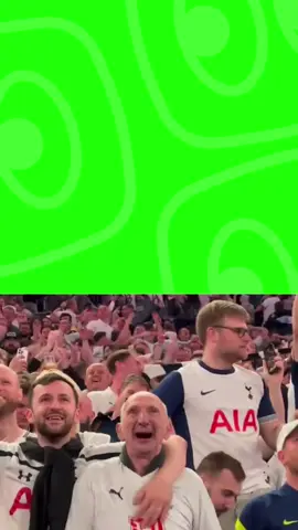 🏆Celebrating Green Screen Template 🔥🔥🔥 #meme #memes #greenscreen #fyp #trend #capcut #viralgoals #protemplates #greenscreen #viral  #memecut #catmemes #tiktok #funny #EcoFriendly #TikTokLearning