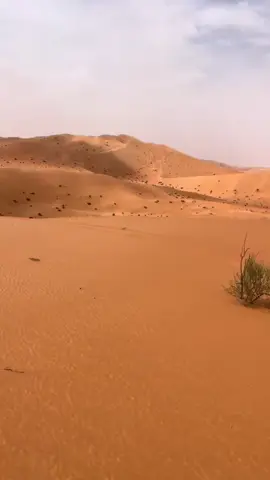 #دبداب_ليبياا_طرابلس✔🇩🇿🇱🇾❣✔✔🙏🏻 