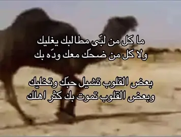 #قصايد #شعر #خواطر #نجد #مجاهيم #صقور #بني_خالد_不 