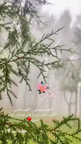 #جنوبيه #ذوق #اكسبلورexplore #تصويري #تصميمي #أمي #الغاليه_امي_ربي_يطول_بعمرها_❤️ #امي #والدي_رحمك_الله 