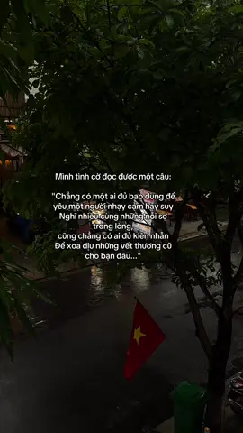 Mình tình cờ đọc được một câu: 