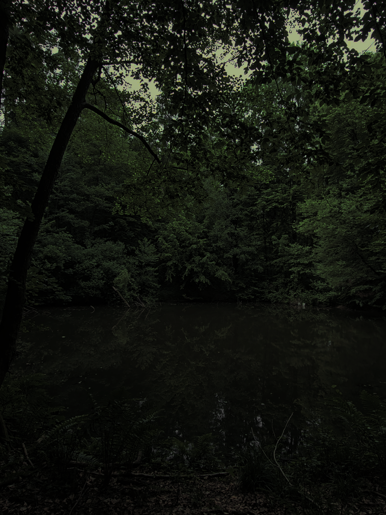 dark beautiful lake..  #chill #fyp #forest #calm #viralvideos #nature #aestheticvideos #darkaesthetic #lake 