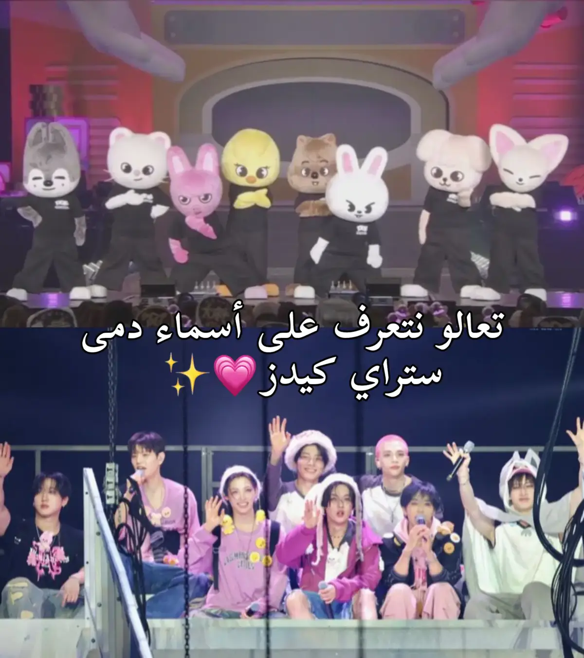 حسب الطلب🤍 #ot8straykids  #ستراي_كيدز #skzoo #straykids  #goldenstay7 