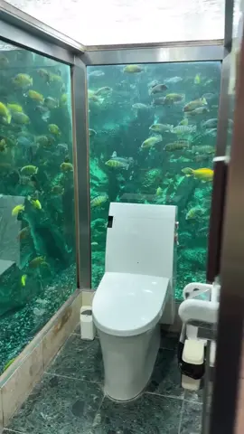 Japanese toilets are next level 🇯🇵 #aquarium #fish #aquascape #fishtank #aquariumhobby #reef #aquascaping #aquariumfish #freshwateraquarium #aquariums #plantedtank #aquariumlife #tropicalfish #reeftank #plantedaquarium #fishkeeping #nature #cichlids #freshwater #aquariumsofinstagram #cichlid #bettafish #natureaquarium #coral #aquascaper #ikanhias #saltwateraquarium #betta #freshwaterfish #reefaquarium #japan #anime #tokyo #japanese #manga #art #jdm #Love #photography #usa #otaku #travel #kawaii #s #china #instagood #r #instagram #fashion #nissan #cute #like #korea #kyoto #photo #toyota #germany #cosplay #japantravel #follow 