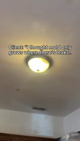 Most people think mold only grows where there are obvious leaks… but that’s not the full story. The truth? Mold can grow anywhere there’s moisture, warmth, and organic material—even if you can’t see it or smell it. In this case, the client never suspected the ceiling was hiding mold until our K9 detection team uncovered the truth. Don’t wait for visible damage. Trust the nose that knows. Book your mold detection at www.molddogknows.com #molddetection #k9detection #hiddenmold #moldawareness #moldtoxicity #moldremoval #moldprevention #homehealth #moldproblems