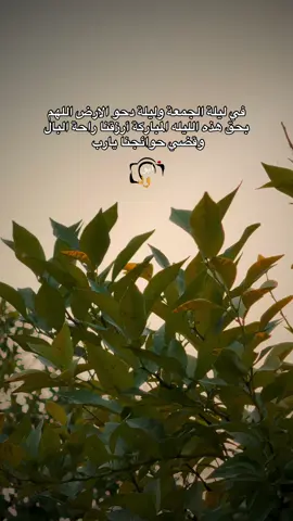 #جزء 225 | اللهم بحق هذه الليلة يالله🤍                                            #ابو_ود❤️ #ليلة_الجمعة #دحو_الارض_اللهم_مانتمنى🤲🏻 #تصويري👌🏻 #تصوير_موبايل📸✅ #تصوير_حديقتنا #تصويري_احترافي #تصويري_احترافي #ريف_المشخاب🌿🌺 