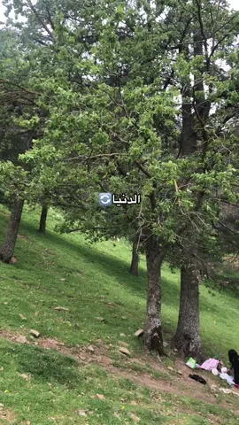 #دنيا_دوارا_وناس_غداره🥺🥺 🔄❤️