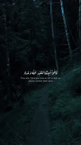 #محمد_ايوب #كنوز_القرآن🍂 #قرآن_کریم #quran #قرآن #راحه_نفسيه 