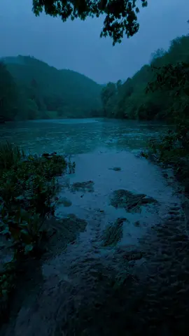 🖤#nature #darkaesthetic #calm #naturephotography #foryоu #aesthetic #relax 