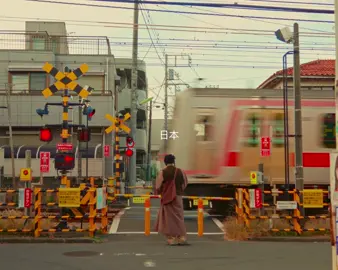 Exploring Japan