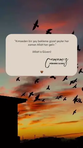 🕊️🕊️🕊️