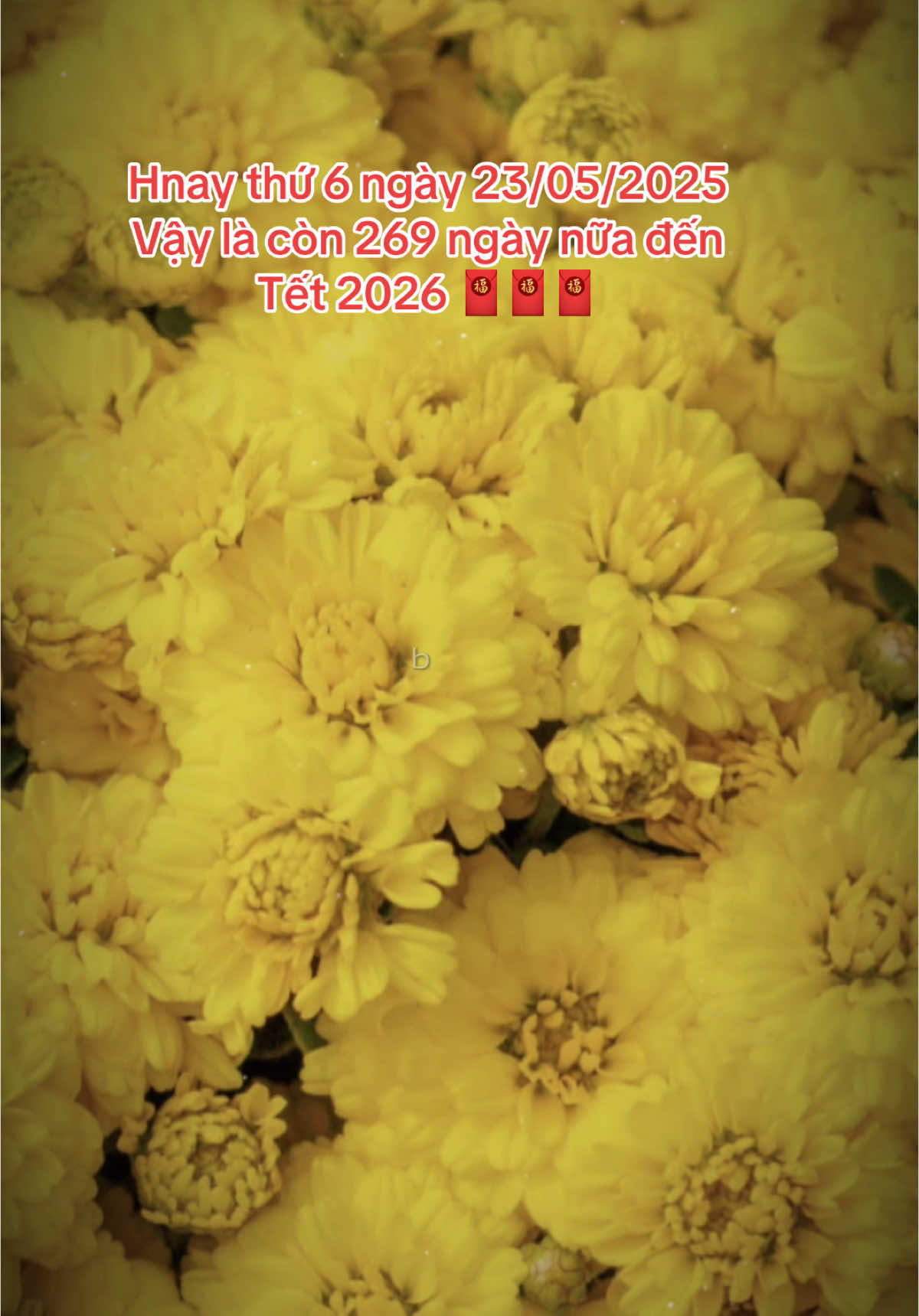 Nhắc mn là còn 269 ngày nữa nha #tet2026 #nhachaymoingay #nhacxuan 