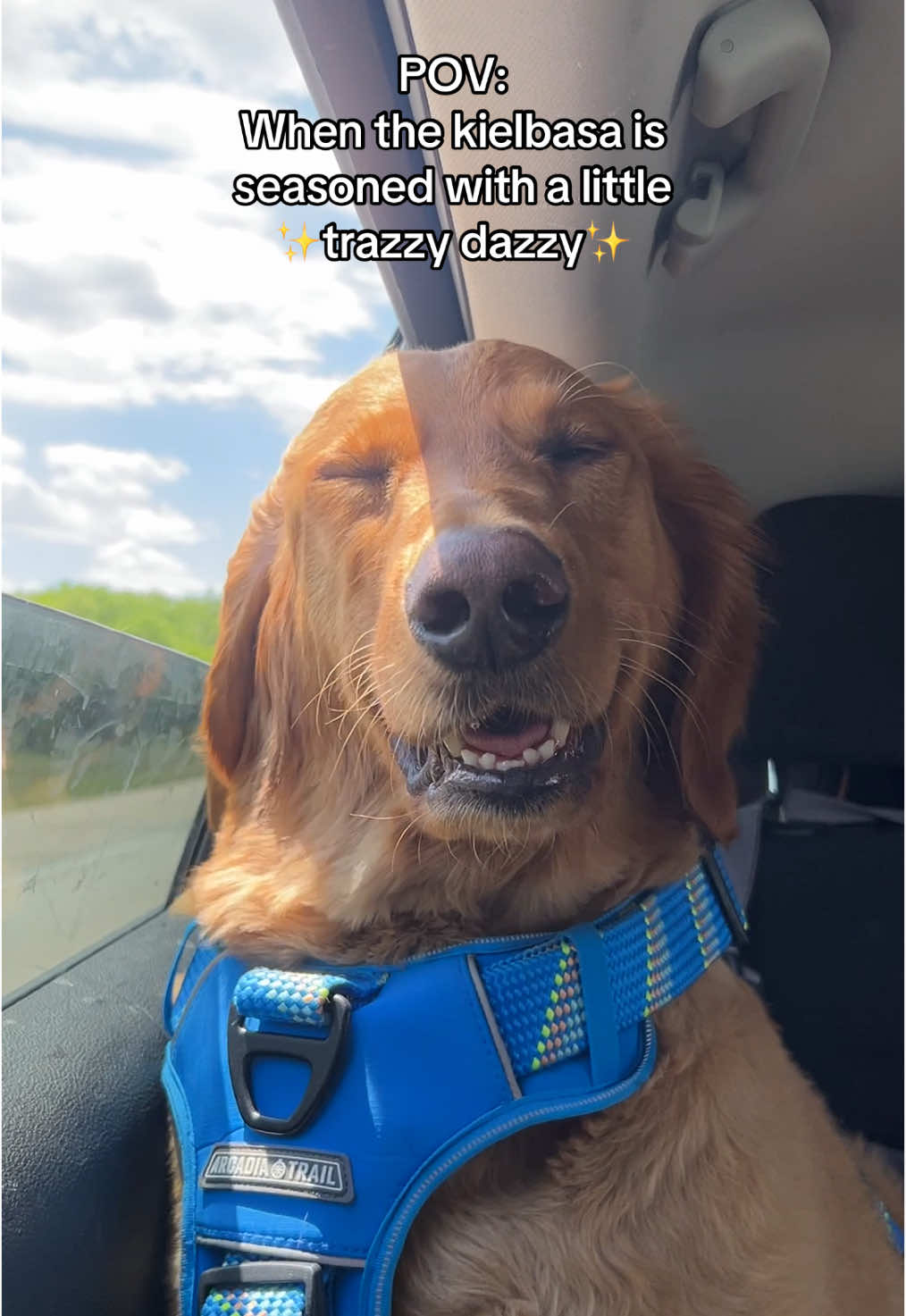 Not the eye😭 #dogmomlife #dogmom #furbaby #goldenretriever #goldenretrieverlife #spoileddog #fyp #foryou #viral 