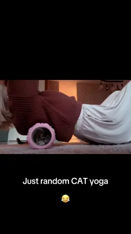 Part 2 is coming! Follow me ;-) #mainecoon #yoga #together 