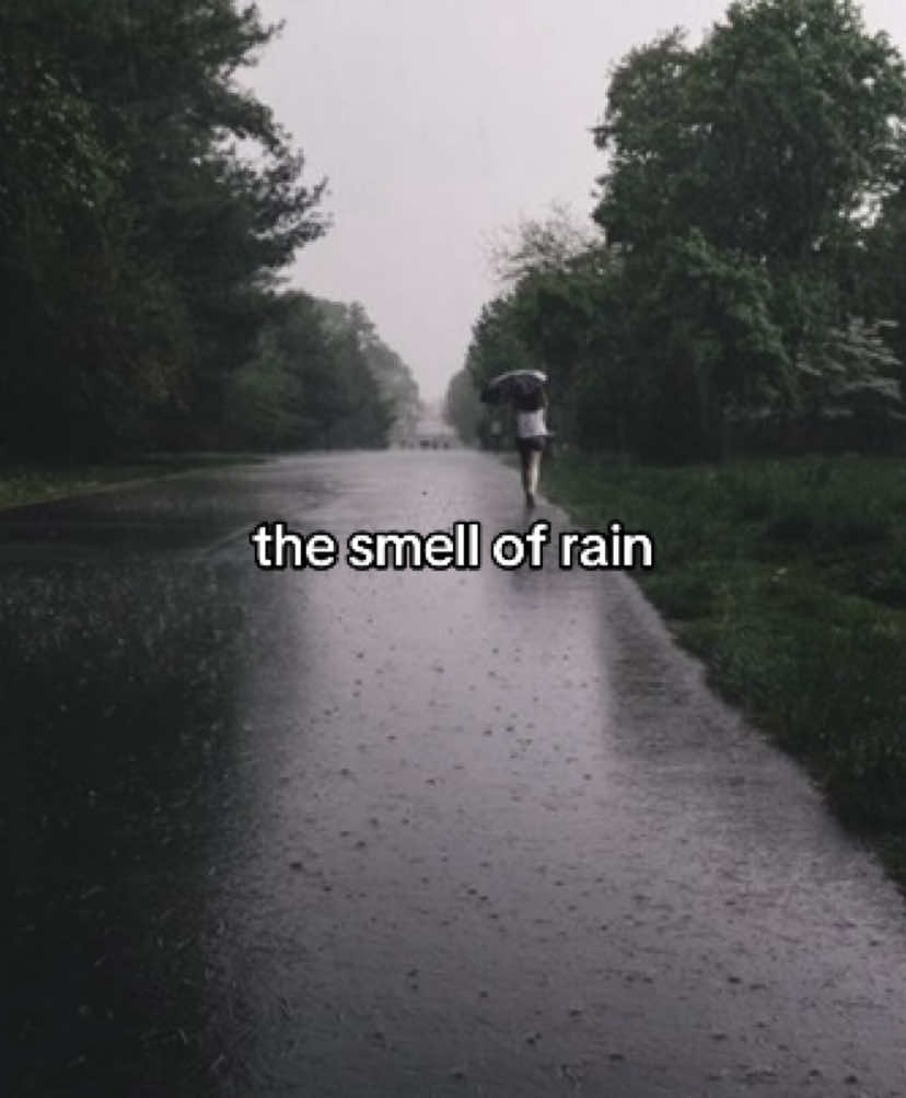 and ofc the sound!! #2025 #aesthetic #pinterest #rain#rainyday 
