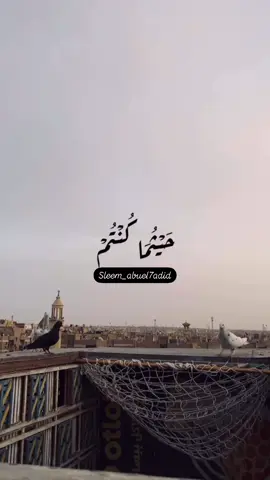 صلو عليه وسلموا تسليما اللهم صل علي محمد وعلي اله محمد 🤲🤍#اللهم #اللهم_صلي_على_نبينا_محمد #اللهم_صل_وسلم_على_نبينا_محمد #اللهم_صل_على_محمد_وآل_محمد #اللهم_صل_وسلم_وبارك_على_نبينا_محمد 