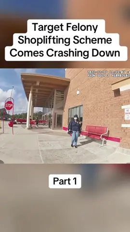 Part 1: Target Felony Shoplifting Scheme Comes Crashing Down#cops #copsoftiktok #police #policeofficer #bodycam #crime #truecrime #truestory #foryou #fyp 