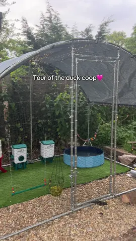 So excited, the rocks will be glued down and we are putting a hardwire fencing around the bottom half of the coop for extra protection but other than that its complete😍 Its my first time owning ducks so please be kind but let me know if theres any other things i can add!🩷 #singingchallenge #foryoupagе #PetsOfTikTok #ducklings #ducklingsswimming #duckcoop #duckcoopbuild #duckcooptour #ducksoftiktok 