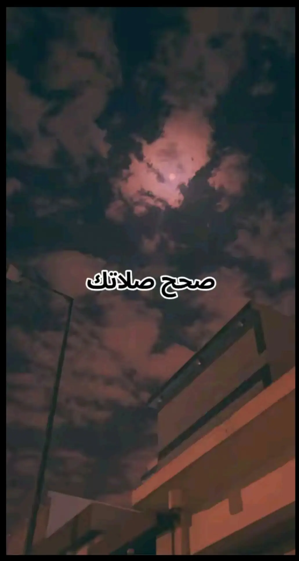 #قران_كريم #fyppppppppppppppppppppppp 