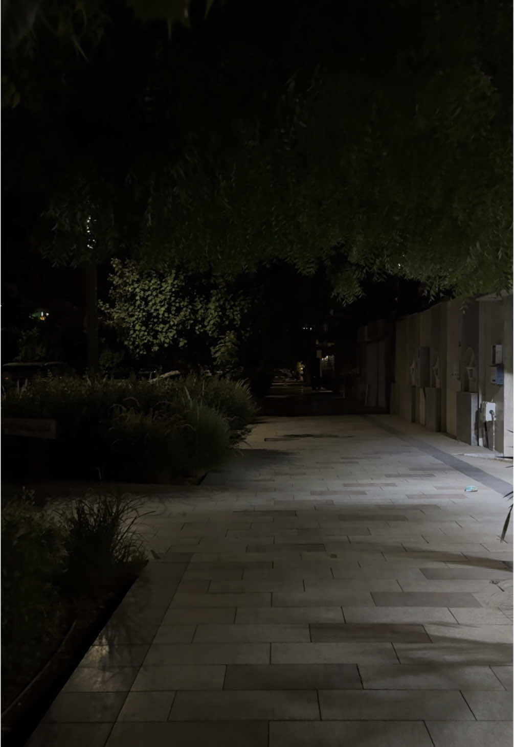 البارحةة قدرت أصدق ظنوني✨😢#explore #المدينة_المنورة #هواجيس 