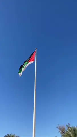 كلمه تثبت انك بدوي 🙆🏻‍♀️! #explore #العقبه 