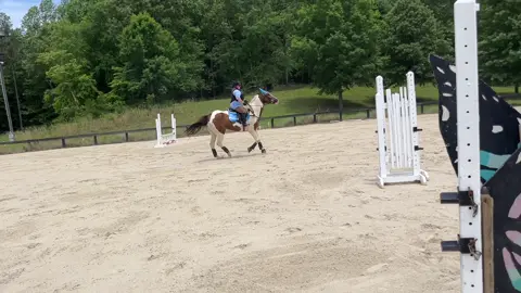 Sometimes even I get to have some fun!  Haven’t jumped in a while!  Uno thankfully put up with me!  #farmlife #horsefarm #horsesoftiktok #eventing #apha #drawfour 