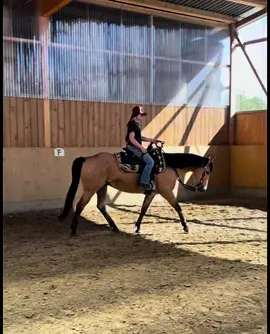 Training ⚡️🖤 #countrymusic #country #countrygermany #western #countrygirl #quarterhorse #horsegirl #westernriding #horsegirl #horse #horses #CapCut 
