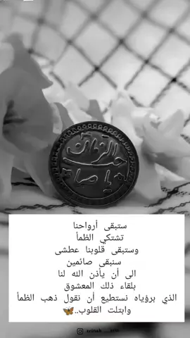 سيدى وانا ظلام في ظلام ؛ و احوالي كلها خراب؛ والقلب غلب عليه الشقاء؛ والروح تطرق بابك ترجو النجاة ؛ وانا محتاج ل بصيص نور قد سئمت السَواد.. يا صاحب الحب والرأفة..🦋